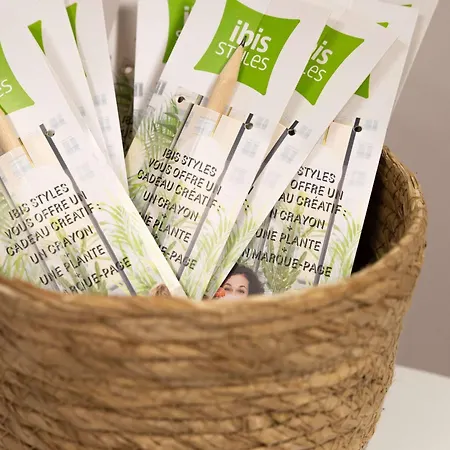Ibis Styles Centre Le Theatro Hotel Albi