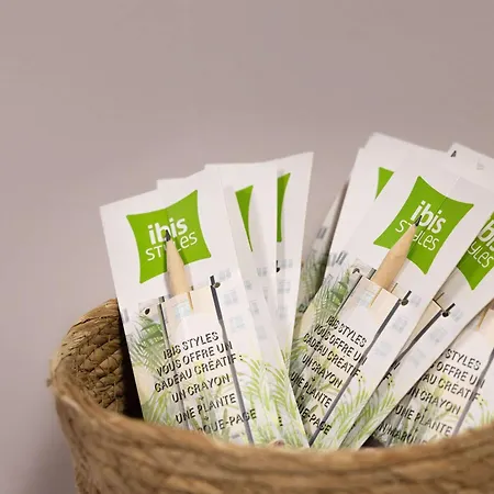 Ibis Styles Centre Le Theatro 3* Albi