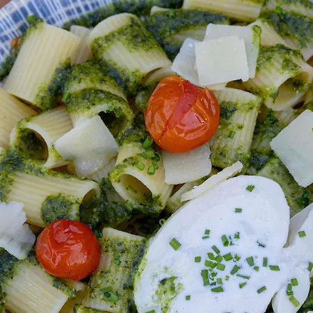 Ibis Styles Centre Le Theatro 酒店 阿尔比