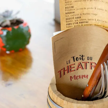 Ibis Styles Centre Le Theatro 酒店 阿尔比